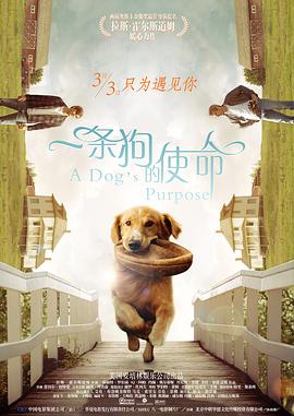 五月国产综合视频在线观看