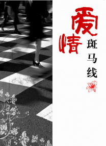 丁香色婷婷国产精品视频